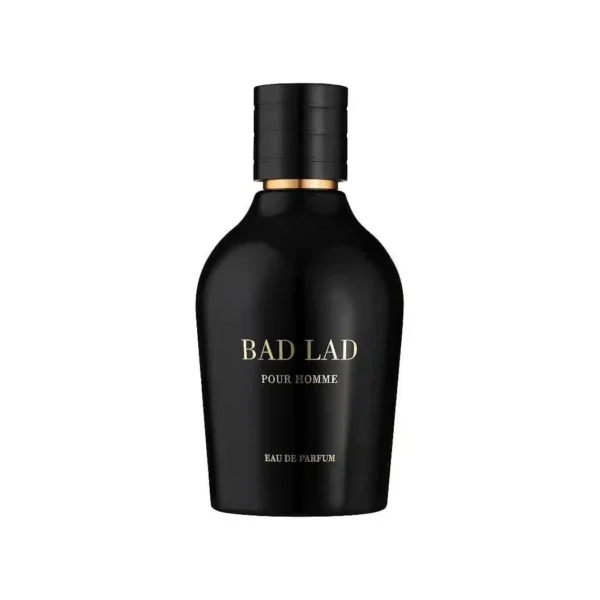 Bad Lad – Image 2